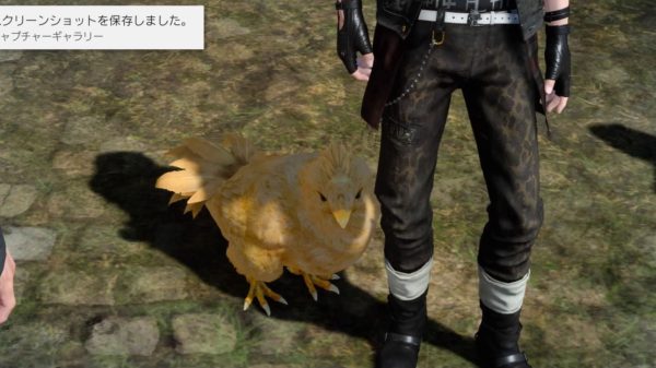 ff15チョコボ2