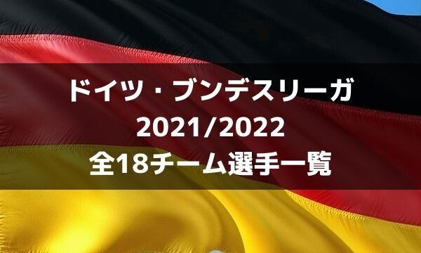 サッカー ブンデスリーガ 21 22 全18チーム選手一覧 ラ リ ル レ ロイすん